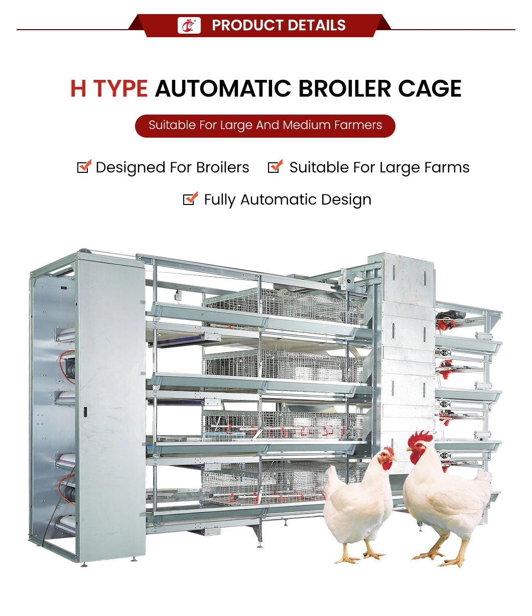 Bestchickencage China Chicken Coop House Supplier H Frame Automatic Boriler Cages OEM Custom Wood Material Hen Crate